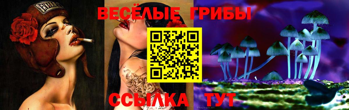 Надым  Псилоцибиновые грибы мухоморы  Вход с VPN 